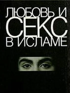 Коллектив Авторов Любовь и секс в Исламе: Сборник статей и фетв обложка книги