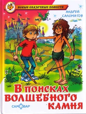 Андрей Саломатов В поисках волшебного камня обложка книги