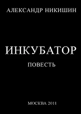 Александр Никишин Инкубатор, или  Необыкновенные приключения Юрки Гагарина обложка книги