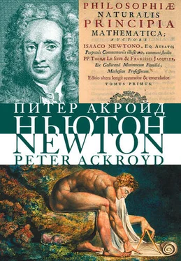 Питер Акройд Исаак Ньютон. Биография обложка книги