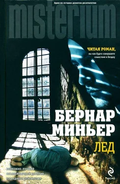 Бернар Миньер Лед обложка книги