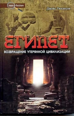 Джойс Тилдесли Египет. Возвращение утерянной цивилизации обложка книги