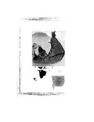 Генри Лонгфелло - The Song of Hiawatha