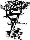 As the shouting sun ascended Till into the air it faded Till into the ground - фото 289