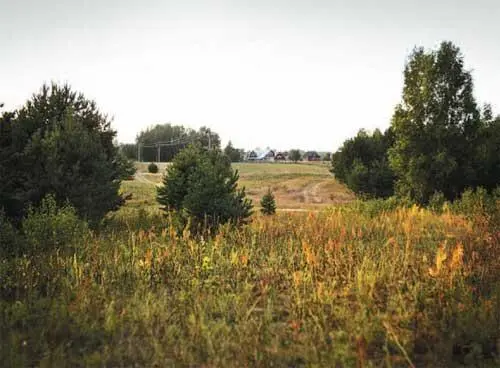 Вот вид на деревню Булавино со стороны Криновской дороги Фото современное и - фото 7