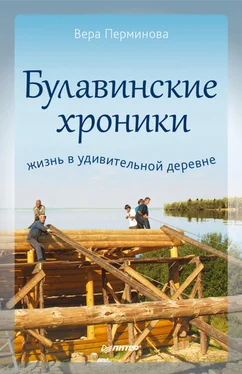 Вера Перминова Булавинские хроники. Жизнь в удивительной деревне обложка книги