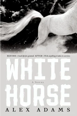 Alex Adams White Horse обложка книги