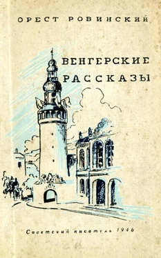 Орест Мальцев Венгерские рассказы обложка книги