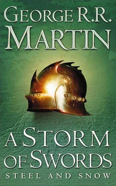 George Martin A Storm of Swords обложка книги