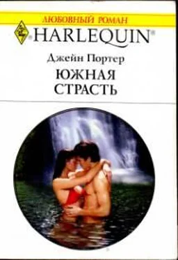 Джейн Портер Южная страсть обложка книги