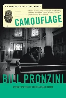 Bill Pronzini Camouflage обложка книги