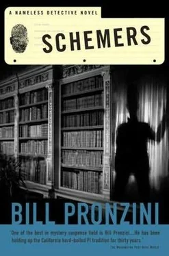 Bill Pronzini Schemers обложка книги