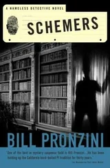 Bill Pronzini - Schemers