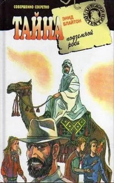 Энид Блайтон Тайна подземной реки обложка книги