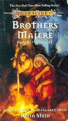 Кевин Стейн - Братья Маджере