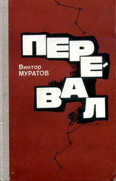 Виктор Муратов Перевал обложка книги