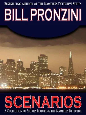 Bill Pronzini Scenarios обложка книги