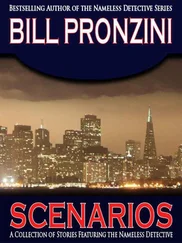 Bill Pronzini - Scenarios