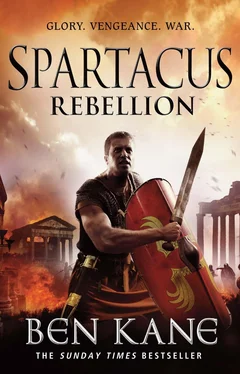 Ben Kane Spartacus: Rebellion обложка книги