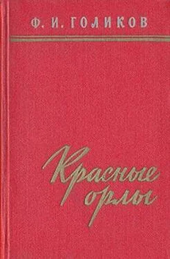 Филипп Голиков Красные орлы (Из дневников 1918–1920 г.г.) обложка книги