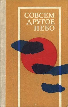 Карел Рихтер Совсем другое небо (сборник) обложка книги