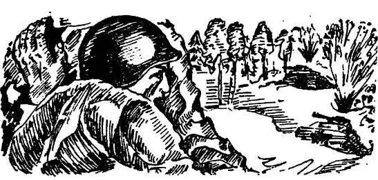 ЧАСТЬ ВТОРАЯ Минуло восемь лет В самый разгар азиатской жары вернулся в - фото 4