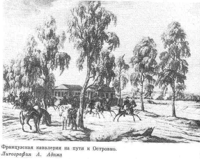 Необычайная конкретность этого описания аллея именно березовая и при этом но - фото 12