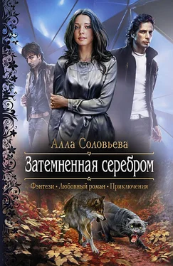 Алла Соловьёва Затемненная серебром обложка книги