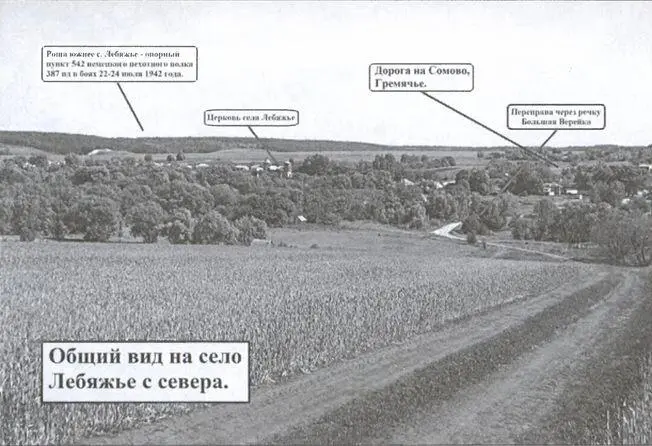 Общий вид на с Лебяжье с севера Вид на с Лебяжье с юговостока Деревня - фото 10