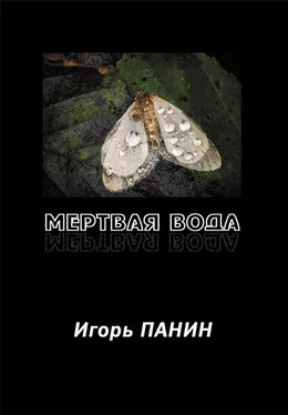 Игорь Панин Мертвая вода: Стихи. обложка книги