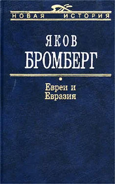 Яков Бромберг Евреи и Евразия обложка книги