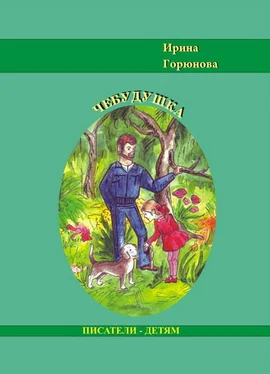 Ирина Горюнова Чебудушка обложка книги