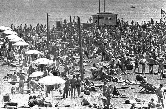 Главный пляж всего Финского залива Золотой покрытый тонким песочком Я - фото 76