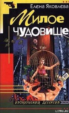 Елена Яковлева Милое чудовище обложка книги