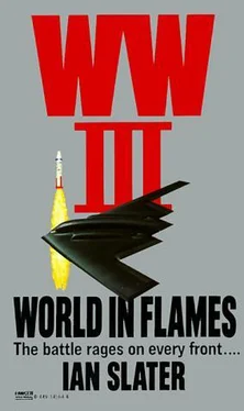 Ian Slater World in Flames обложка книги