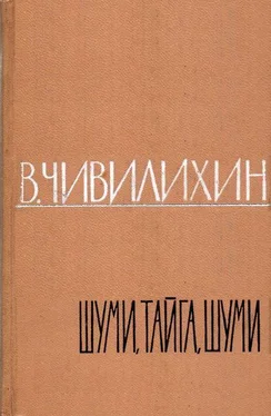 Владимир Чивилихин ШУМИ, ТАЙГА, ШУМИ! обложка книги