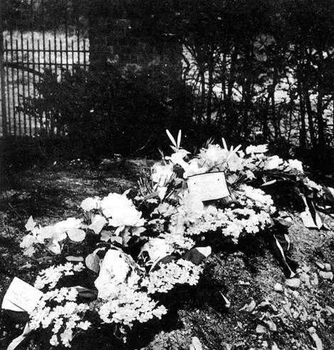 Эта фотография была сброшена на немецкой территории вместе со следующим - фото 23