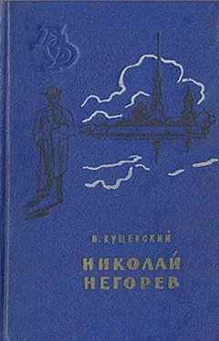 Иван Кущевский Николай Негорев, или Благополучный россиянин обложка книги