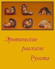 Эротические рассказы Рунета