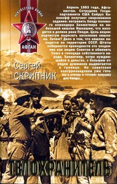 Сергей Скрипник Телохранитель обложка книги