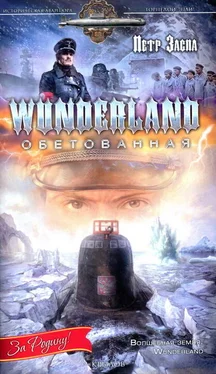 Петр Заспа Wunderland обетованная обложка книги