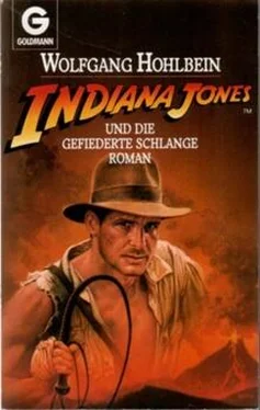 Wolfgang Hohlbein Indiana Jones Die Gefiederte Schlange обложка книги