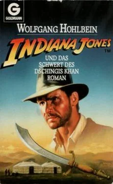 Wolfgang Hohlbein Indiana Jones und das Schwert des Dschingis Khan обложка книги