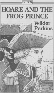 Wilder Perkins Hoare and the Ffrog Prince обложка книги