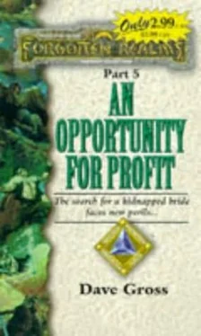 David Gross An Opportunity for Profit обложка книги