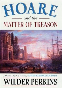 Wilder Perkins Hoare and the matter of treason обложка книги