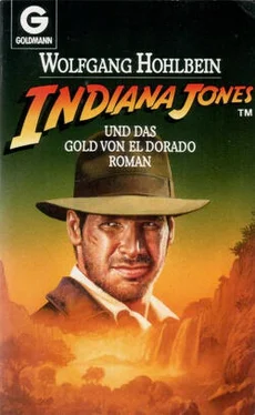 Wolfgang Hohlbein Indiana Jones und Das Gold von El Dorado обложка книги