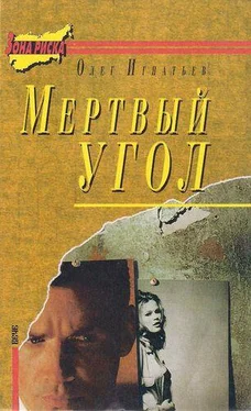 Олег Игнатьев Семь «шестерок» обложка книги