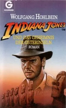 Wolfgang Hohlbein Indiana Jones und das Geheimnis der Osterinseln обложка книги
