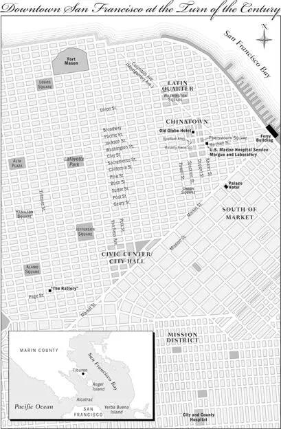 Prologue SAN FRANCISCO IN 1900was a Gold Rush boomtown settling into a gaudy - фото 1